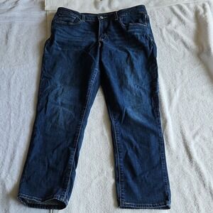 Levi's‎ Women's Blue Skinny Jeans Stretch Denim 5-Pocket Zip Button